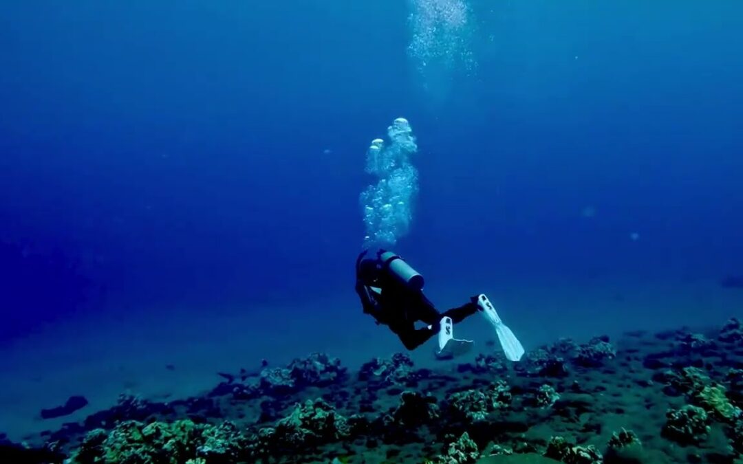 Freedom From Fear: A Personal Note Before 60