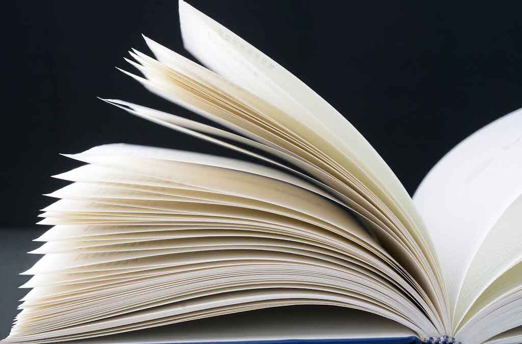 Capitalism for All Book Earns “Best Seller” on Walmart.com