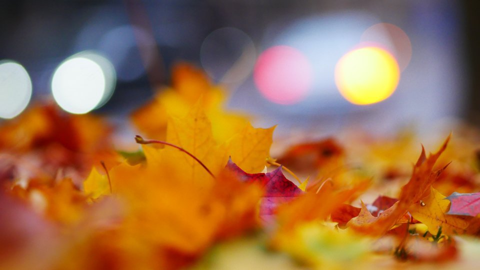 The Economics of Gratitude
